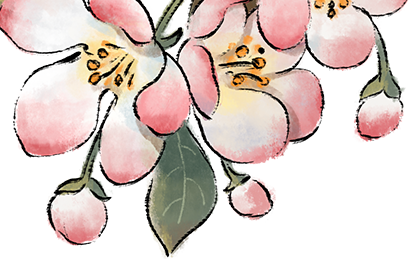 163004zzp5pddpc5p9pdqp.png