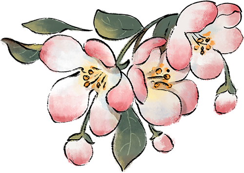 163006hq1454u4psp5uszq.png