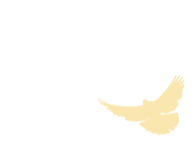 085758d79n6zf6ccrasc2f.gif