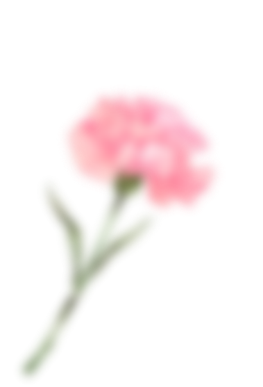 164242g0r08py5705p075c.png
