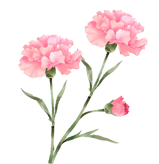 164255to2jz2jqk1d42t21.png