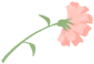 101752u37nne3ebbg7u657.png