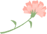 101752yek66e2kr6gdfh6b.png