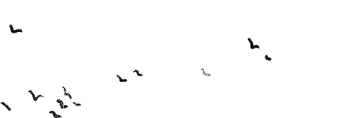 170910hzz765hehjjgjxp6.gif