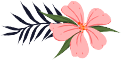 105119ou2hpzthvcl22ch0.png