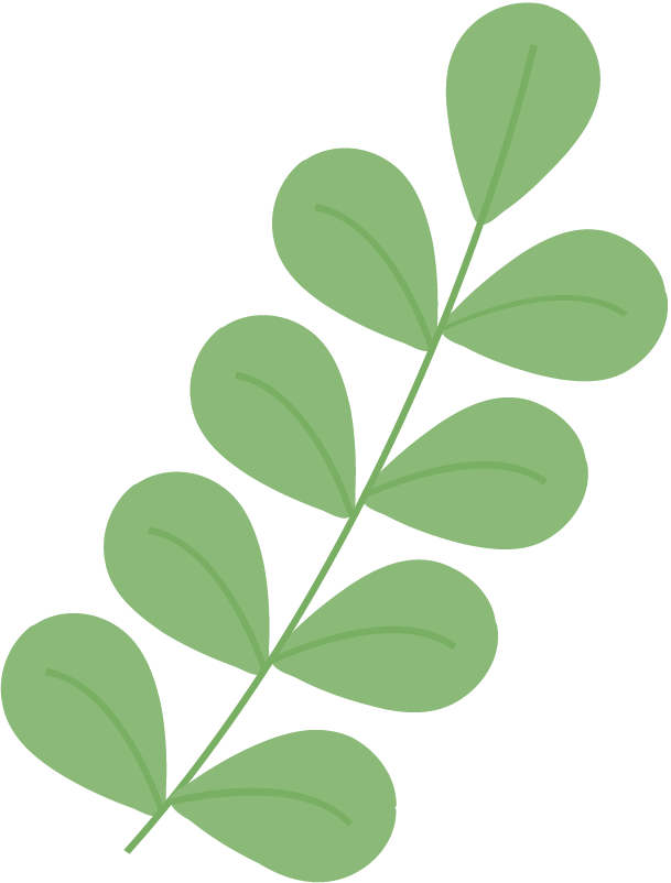 162525n1db6xfcx191bbk9.png