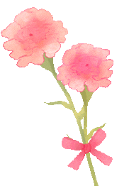 162549r8lh7ao2dual7hhl.gif