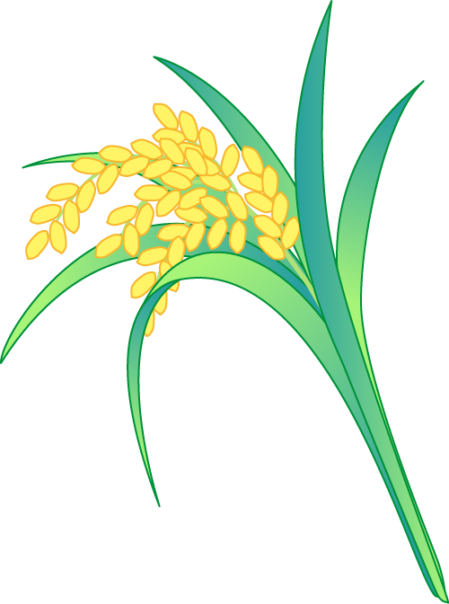 160738kffw9sg2nwg9222e.png