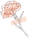 094851udx6daujzswuwfl2.png