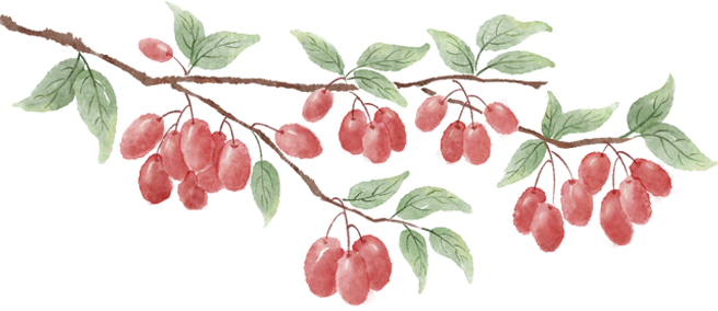 101624cj2jn69pjkukncn1.png