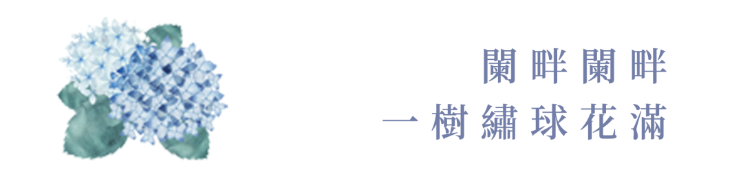 110122zgbe72b33jdt2zmc.png