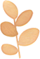 111402h33cppppwwjwir0z.png