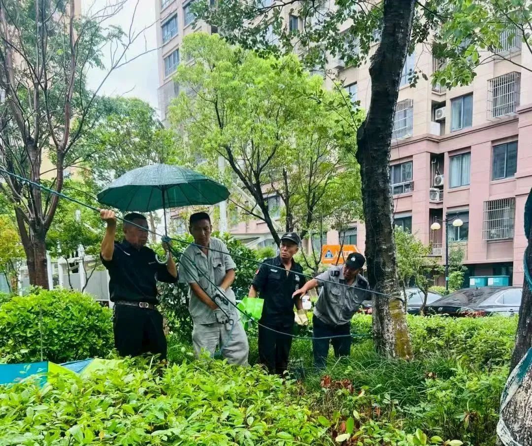 173141xuy565zfyi536ii3.jpeg