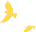 115625jvvlfvrb736981j9.png