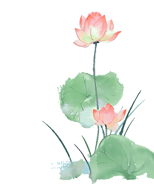 175608x893ec39eztw3exn.gif