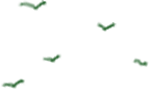 2c360c612f982a543d177a6505577d7f.png