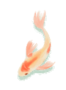 e98184d49eef3196feebd6d9a91eff63.gif