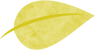 163339lcc439fc1q014c2a.png