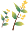 175529t78f8fwfi8ju2zj8.png