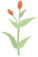 175529g60ilzd48sd360n6.png