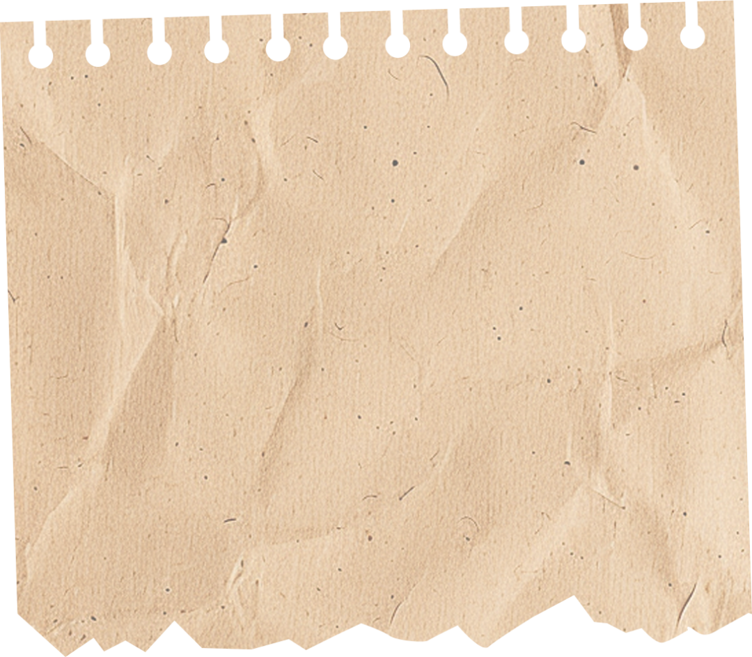 111045ylzusbknl27nansf.jpg