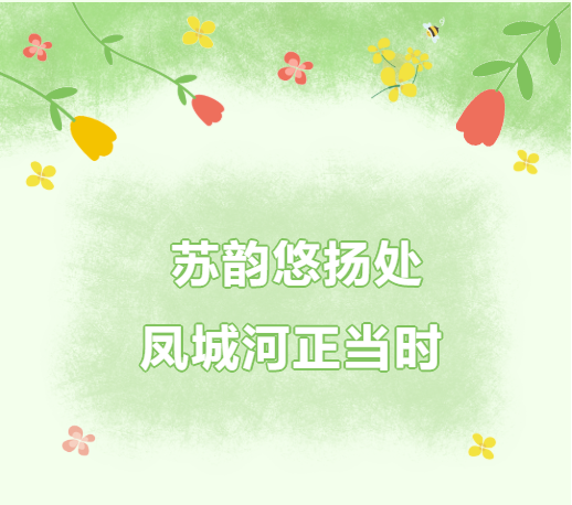 3ae41f84dd18b333b3f15bab710d6617.png