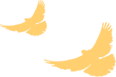112150v2pazfybr727rmzz.png