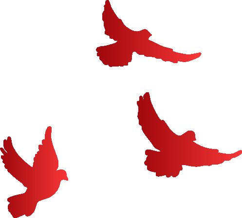 394ff6abcc2a8dae9707360511e0e49a.png