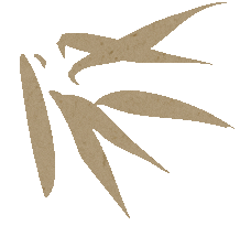 2d8e8063dfe303d96c3463153682ca17.gif