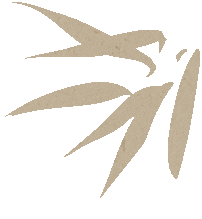 b9f4f40eb50544f6674febf18b94f329.gif