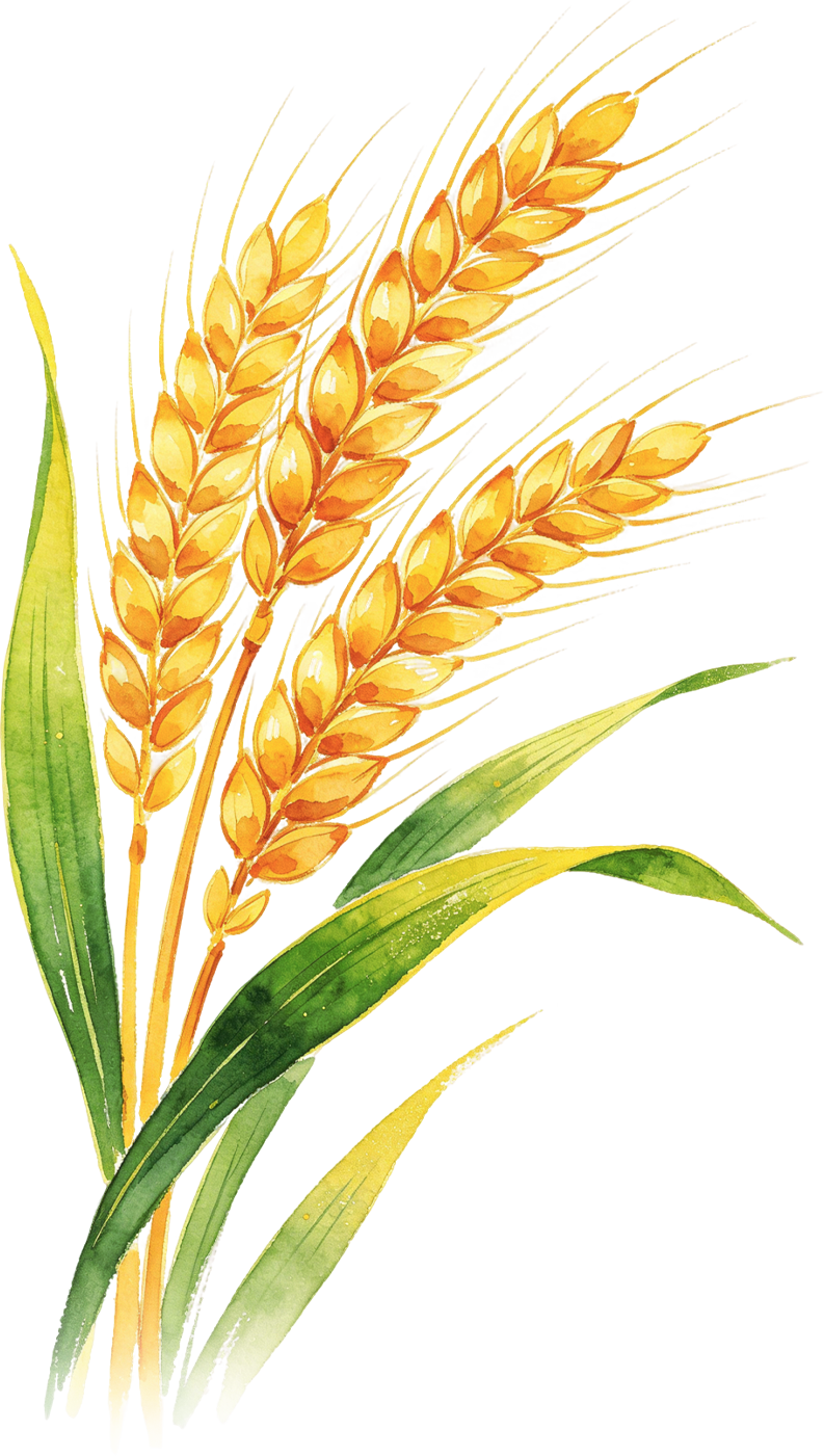 85f5c36e7c2ae769cb5b4177d2ccdc51.png