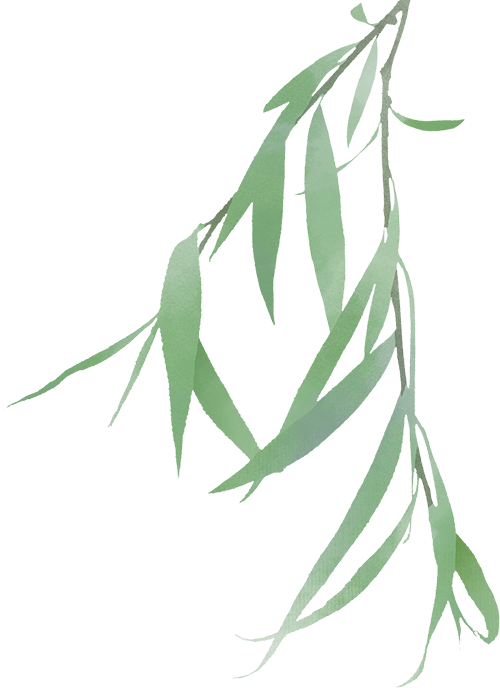 1566f45bb25c0a4ef810d6c8e85a25a1.png