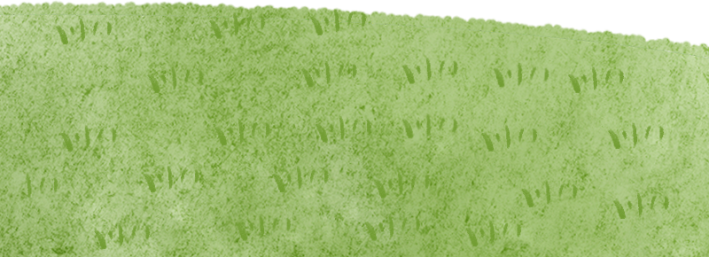 4785909d17b2748f3d0cae1bd97b89d6.png