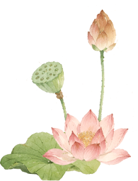 172554uk49j6k3ppjqmjbj.jpg