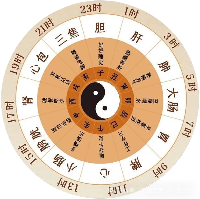 9ee8d11a5c2ca736c11ac73e7cb7f813.png