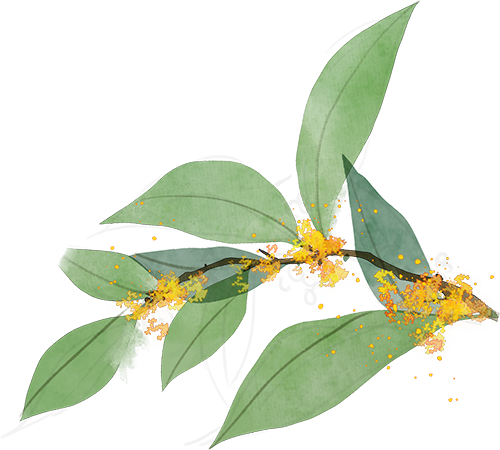 fa123a55f136b5634acf183ccc04087f.png