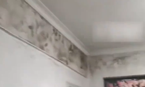 ded288f845cc7826dc7ec6ec01a530ec.png
