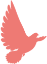 52b2781787fe12702537ab6669387182.png