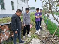 罡杨镇开展户厕改造督查工作