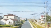 东楼村人居环境自治新动态——努力从"盆景"向"风景"蝶变