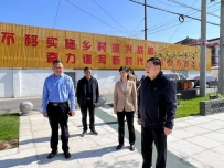 以督查促整改！罡杨镇开展人居环境整治督查工作